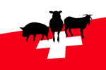 Ausländische Nutztiere machen den Schweizer Füchsen und co. das Leben Schwer. Illustration: watson/Sven Rüf
