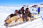 Müssen vor den Gefahren der Ice Bucket Challenge gewarnt werden: kanadische Inuit.